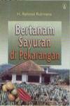 Bertanam Sayuran di Pekarangan