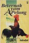 Beternak Ayam Pelung