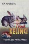 Beternak Kelinci Unggul
