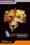 Adobe Photoshop 9.0: CS2