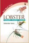 Lobster: Penangkapan, Pembesaran, Pembenihan