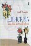 Euphorbia, Tampil Prima dan Semarak Berbunga